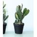  интерьер [Brown./ Brown ] опунциевые кактусы pot 31 искусственная зелень 