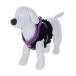  собака шлейка с поводком ANNA SUI/ бабочка вышивка оборка Harness L