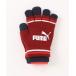  перчатки [PUMA] two Layered Magic перчатка мужской женский 