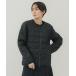  пуховик пуховик [TAION/ta ион ]CREW NECK W-ZIP DOWN JKT/ вырез лодочкой W Zip пуховик / inner 