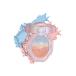 チーク カラーローズ colorrose 女王のカメオグラデーションチーク