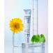 美容液 オイル クリーム ネイチャーリパブリック nature republic アゼペアクリーム