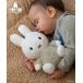 �������� miffy �~�b�t�B�[ �ʂ������/25cm/�t���b�t�B�[/�O���[��