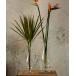  ваза GLASS VASE ALTO H390/ цветок основа Alto 