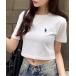 t�V���c ���� Ada.�ʒ� // U.S. POLO ASSN �N���b�v�h �x�[�V�b�N T�V���c ���f�B�[�X