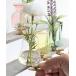  ваза [ TOSSDICE /tos кости ] MINI CLIP VASE - B - / Mini зажим основа 