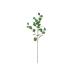  интерьер искусство зеленый po Lien se Moss eucalyptus green 