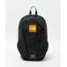  рюкзак [THE NORTH FACE]launti рюкзак (22L)/ Kids Kids ребенок мужчина девочка 