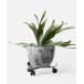  ваза amabro IRON PLANTER STANDamabro утюг посадочная машина подставка горшок шт. 