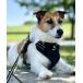  собака одежда Snow Peak / Dog Harness Harness собака одежда собака одежда 
