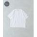 Champion ȾµT LARGE ۥ磻 