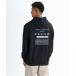  футболка тренировочный HISTORY SWEAT PK / Quick Silver обратная сторона ворсистый задний принт тянуть over Parker *f-ti- мужской женский 