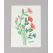 FLOWER CARD красный 