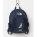 [THE NORTH FACE] [KIDS] рюкзак - голубой Kids 