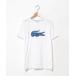 [LACOSTE] вышивка короткий рукав футболка 2 белый мужской 
