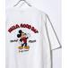 Disney 7ʬµåȥ LL ۥ磻ȷϤ¾2 ǥ