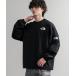 t ̤Ÿǥ THE NORTH FACE Ρե WHITE LABEL ۥ磻ȥ졼٥ TNF ALBANY EX C