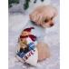  собака одежда [HOLIDAY][CAT&DOG] лыжи Bear Jaguar do тянуть over 