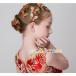 �q�� �w�A�A�N�Z�T���[  6���Z�b�g ������ ���\��@�t�����[�N���b�v �� �w�b�h�h���X �t�H�[�}�� ������ �h���X���� ���܎O �p�[�e�B�[�@�t�����[�K�[��