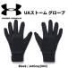  Under Armor UNDER ARMOUR мужской storm перчатка STORM GLOVES 1377508 002