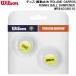  Wilson Wilson теннис виброгаситель ROLAND GARROS TENNIS BALL DAMPENER WR84038010