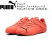  Puma puma Junior для футзал обувь Индия a для ata can toIT JR 107482 14