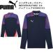  Puma PUMA мужской футбол wear INDIVIDUALFINAL 1/4 Zip верх 659853 01