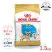 ロイヤルカナン（ROYAL CANIN） キャバリアキングチャールズ 成犬