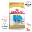 ロイヤルカナン（ROYAL CANIN） キャバリアキングチャールズ 成犬