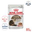 ロイヤルカナン（ROYAL CANIN） エイジング 12+ グレービー 85g / 12歳