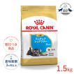 ロイヤルカナン（ROYAL CANIN） キャバリアキングチャールズ 成犬