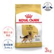  CANIN ゴールデンレトリバー 12kg 送料無料　ロイヤルカナン ロイヤルカナン ゴールデンレトリバー成犬・高齢 12kg | ジョイフル
