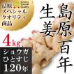 長崎県産 新しょうが ４kg 令和3年産【 新生姜 ショウガ 】【 送料無料 】