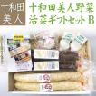 送料無料 十和田美人活彩 お野菜セット B 長芋 ごぼう にんにく 野菜セット 贈り物 ギフト お礼 お返し お土産 プレゼント お祝い お見舞い　