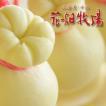 花畑牧場 カチョカヴ...