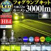 LEDフォグバルブ