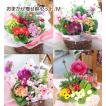 鉢花 寄せ鉢セット 花 誕生日 開店祝い 周年 お礼 ガーデニング 送料無料 送別祝い「お花お任せ寄せ鉢セットM」
