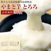 とろろ 冷凍 山梨県産 やまと芋 とろろ 50g x 20袋 大和芋/とろろ蕎麦