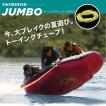 トーイングチューブ 3...