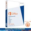 Microsoft Office 2013 Professional Plus 2PC プロダクトキー日本語正規版 ダウンロード版 永続ライセンス インストール完了までサポート致します
