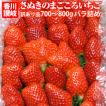 送料無料 訳ありでも...