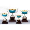 カラーカップ　AC9508A ：野球・空手・ゴルフ・サッカー・全ジャンルに優勝杯・優勝カップ
