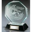 クリスタル楯　VS5255A：社内表彰・企業表彰・周年記念・コンテスト用に高級感あるガラス製トロフィー・クリスタルトロフィー