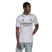 NIKE（ナイキ） メンズ サッカー/フットサル ライセンスシャツ