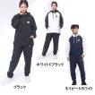 ナイキ メンズ ウイ...