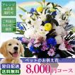 お供え 花 お彼岸 初彼岸 ペットのお供え 8000円 コース フラワーアレンジメント 花束 花かご お悔やみ 喪中 喪中見舞い 新年