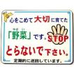 収穫の秋 野菜をとらないで 表示看板・作物盗難防止看板（中） 300*400 マナー違反に 注意 看板