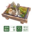 敬老の日 苔盆栽 一...