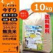 無洗米 玄米 白米 10kg 今ずり米 農薬不使用 コシヒカリ 令和3年産 送料無料