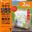 無洗米 玄米 白米 2kg 今ずり米 農薬不使用 コシヒカリ 令和3年産 送料無料